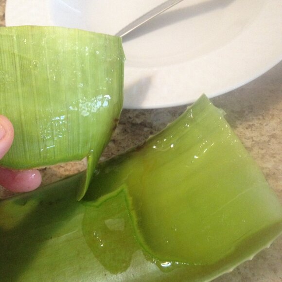 Earthgood 3.5oz Cranberry Face & Body Lotion. Ethical Sustainable Skin Care. New - Picture 5 of 9